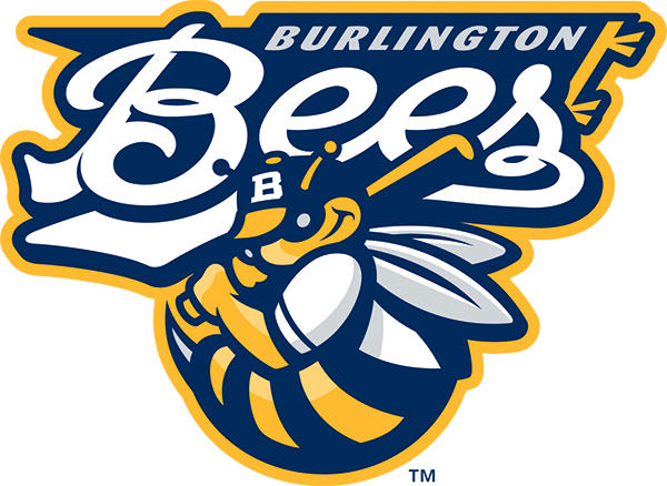 Bees